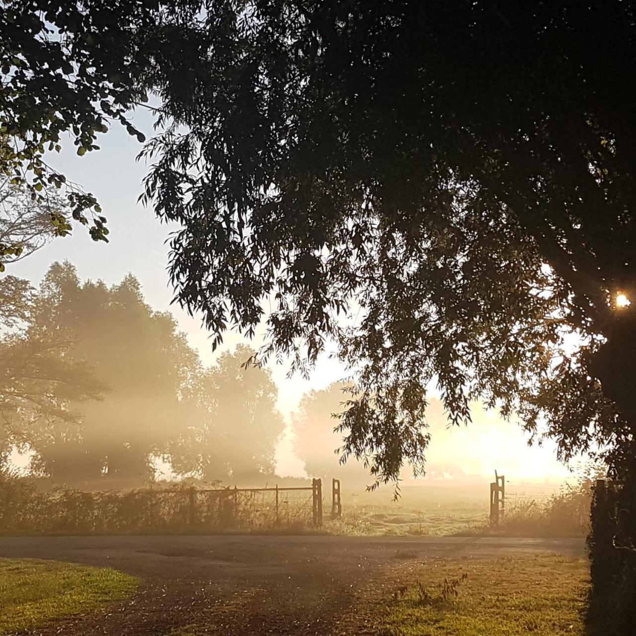Fonsegre Chambres D'Hotes Magny-Cours Exteriér fotografie